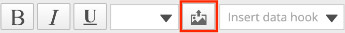 The photo icon is after the text drop-down and before the data hook drop-down.